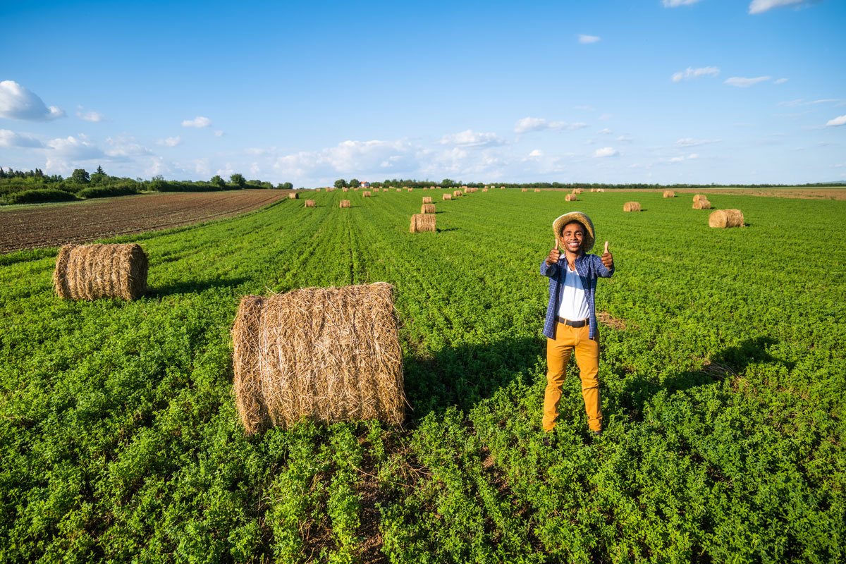 agriculture-2025-03-09-14-26-32-utc